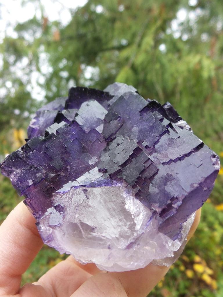 Fractal Pattern XL Midnight Purple Fluorite Standing Display - Earth Family Crystals