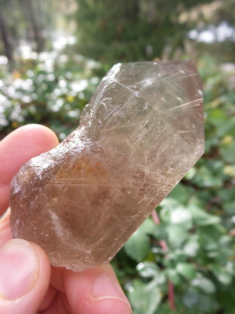 Large Flashy Rutilated Smoky Quartz Point - Earth Family Crystals