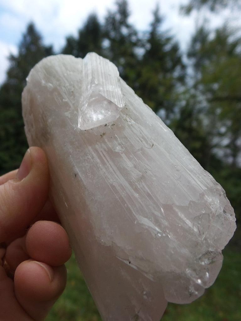XL Mother & Child High Vibes Soft Pink Danburite Specimen - Earth Family Crystals