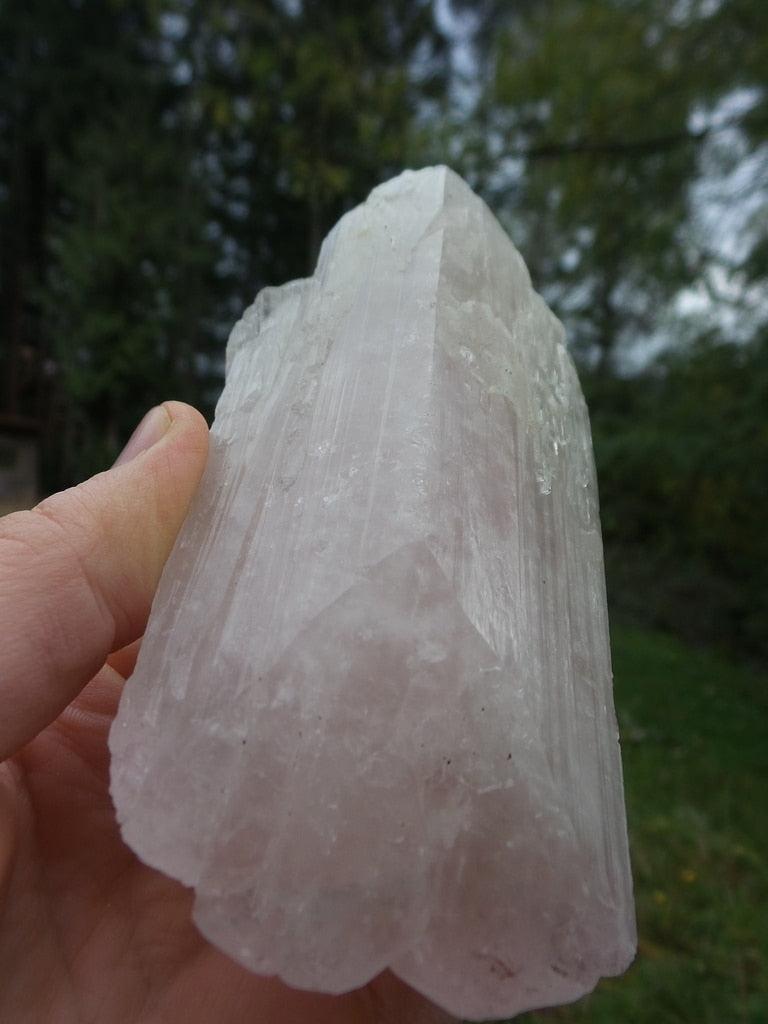 XL Mother & Child High Vibes Soft Pink Danburite Specimen - Earth Family Crystals