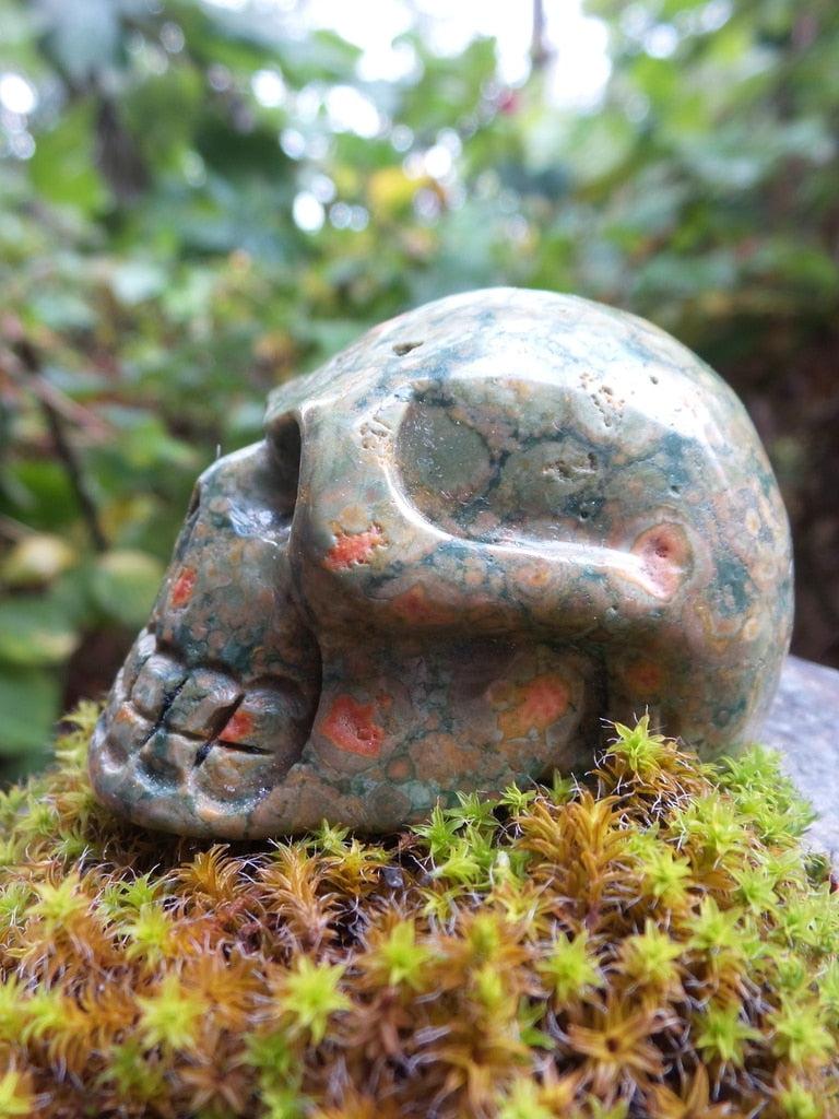 Healing Tree Hugger Rainforest Jasper Skull Carving - Earth Family Crystals