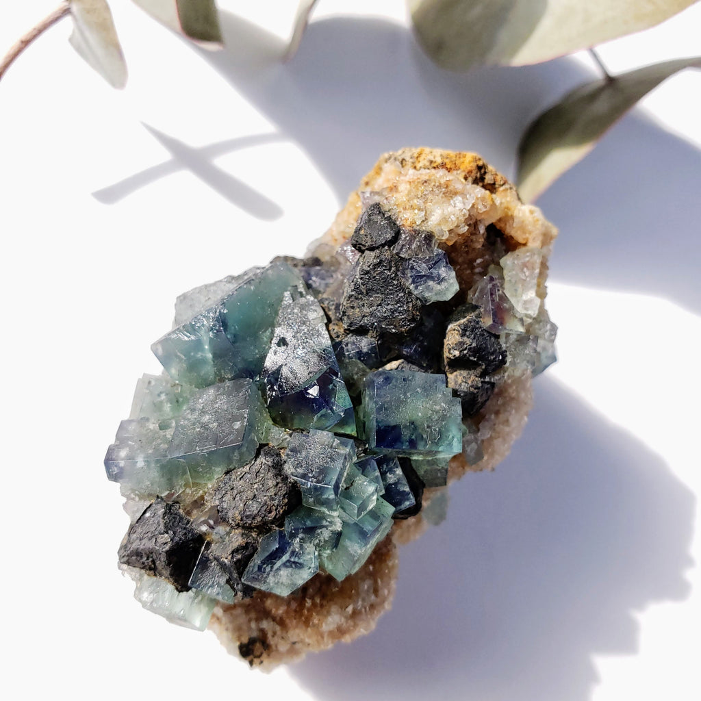 Famous Locality~Rogerley Mine Fluorite Cluster From Frosterley, England #5 (Color Changing in Various Light) - Earth Family Crystals