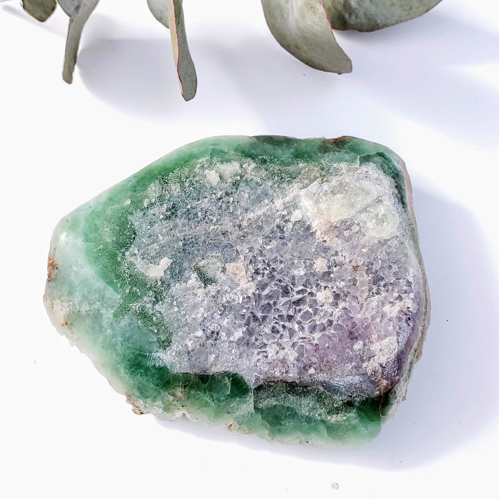 Rare Combo ~ Large Green Fluorite & Lavender Amethyst Partially Polished Specimen From Unaweep Canyon - Earth Family Crystals