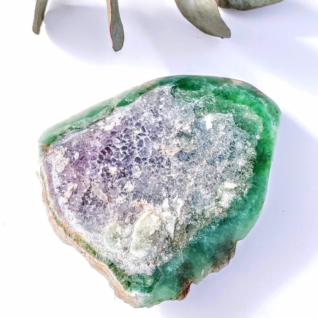 Rare Combo ~ Large Green Fluorite & Lavender Amethyst Partially Polished Specimen From Unaweep Canyon - Earth Family Crystals