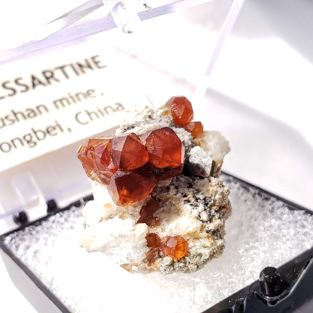 Natural Orange Spessartine Garnet on Matrix From Wushan Mine, China in Collectors Box - Earth Family Crystals