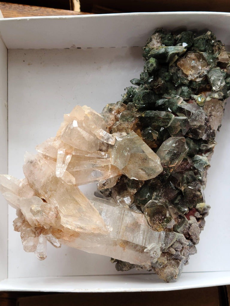 Pink and green samadhi Himalayan Quartz - Earth Family Crystals