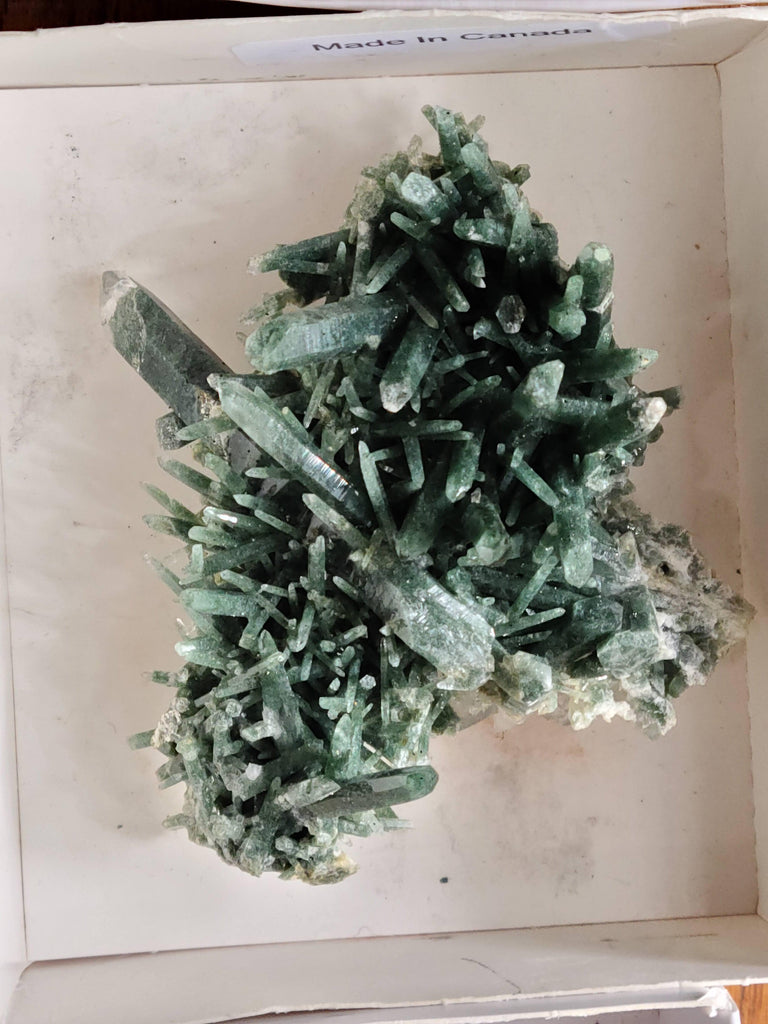 Green soul Healing Samadhi Himalayan Quartz cluster - Earth Family Crystals