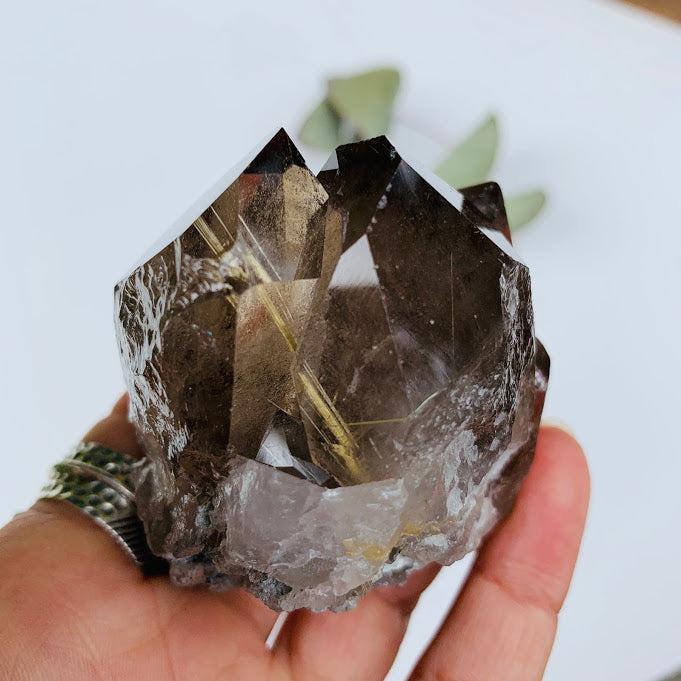 Healing Rutilated Smoky Quartz Multi Point Cluster From Brazil9 - Earth Family Crystals