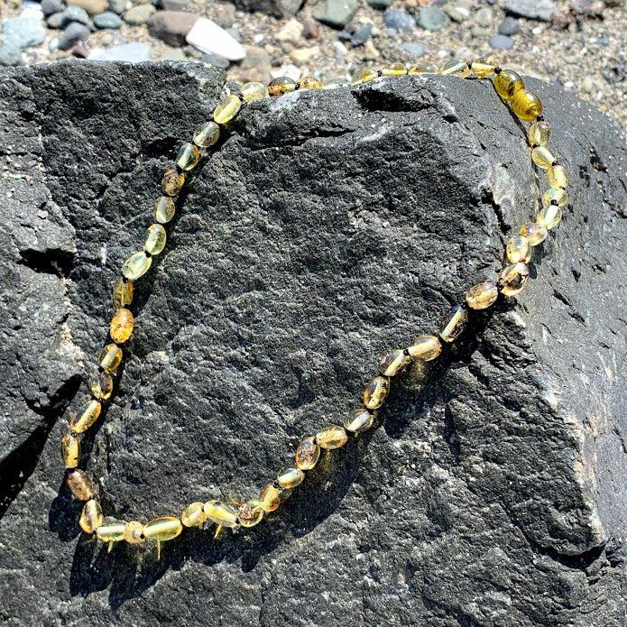 Polished Golden  Lithuanian Baltic Amber 18 Inch Necklace - Earth Family Crystals