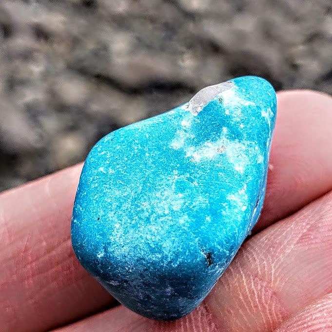 Rare Raw Vibrant Kingman Arizona Genuine Turquoise Specimen #3 - Earth Family Crystals
