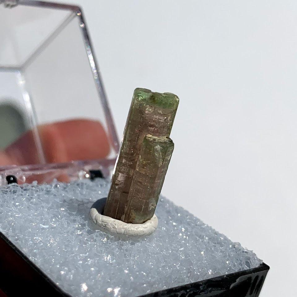 Rare Gemmy Watermelon Tourmaline Point From Brazil in Collectors Box #2 - Earth Family Crystals