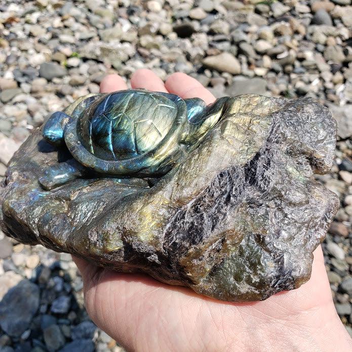 Incredible XL Turtle Carved in Labradorite Partially Polished Display Specimen - Earth Family Crystals