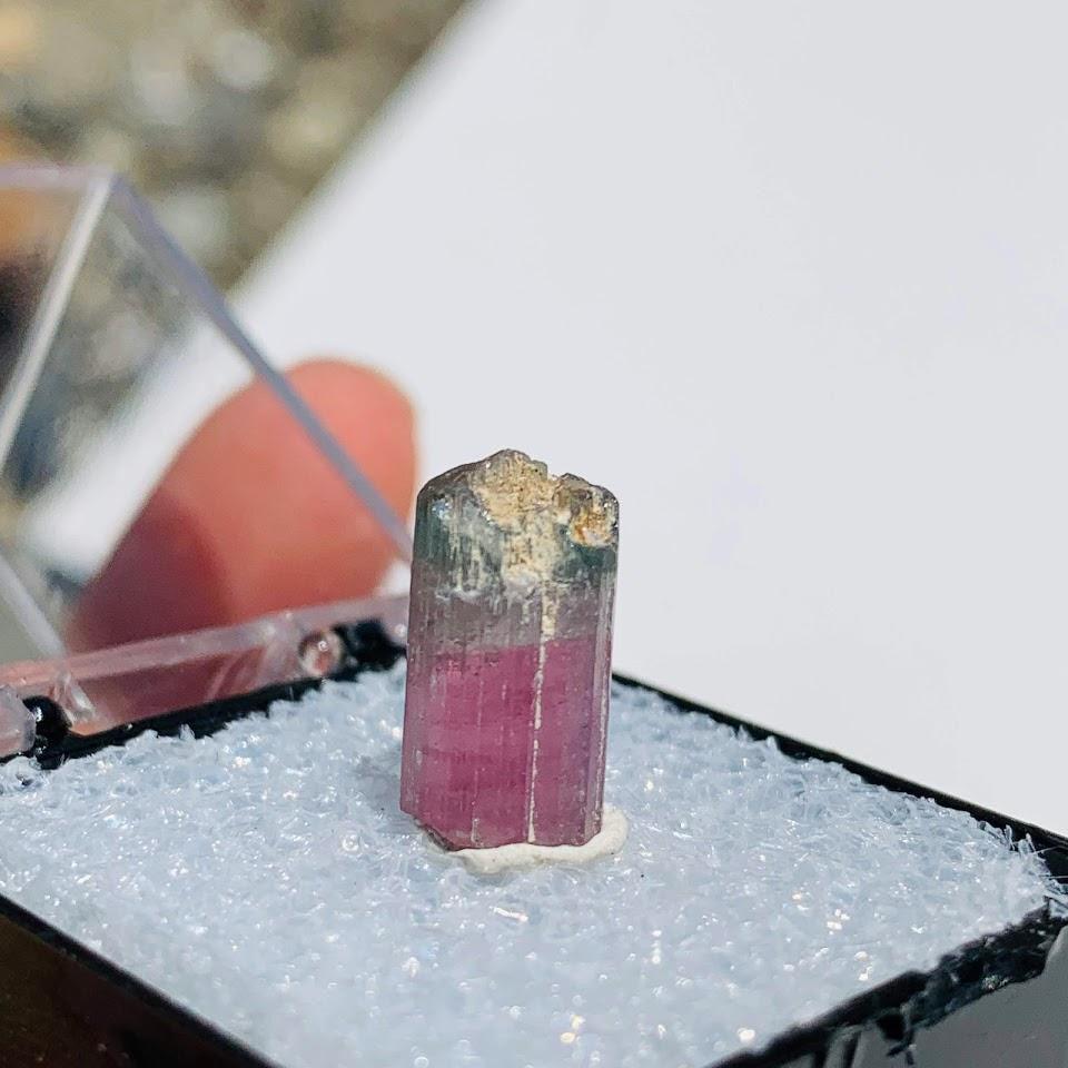 Blue Capped Pink Tourmaline Raw Specimen From Brazil in Collectors Box #6 - Earth Family Crystals