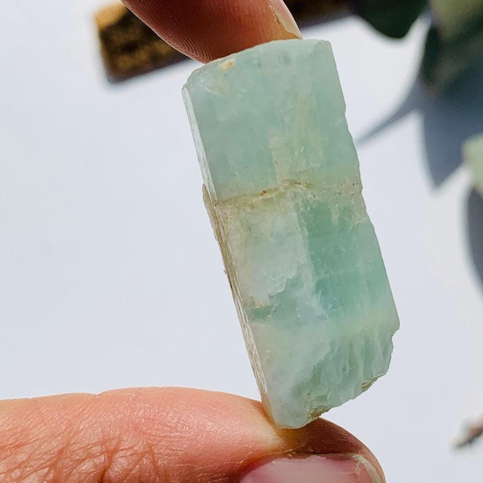 Icy Blue Aquamarine Point From India - Earth Family Crystals