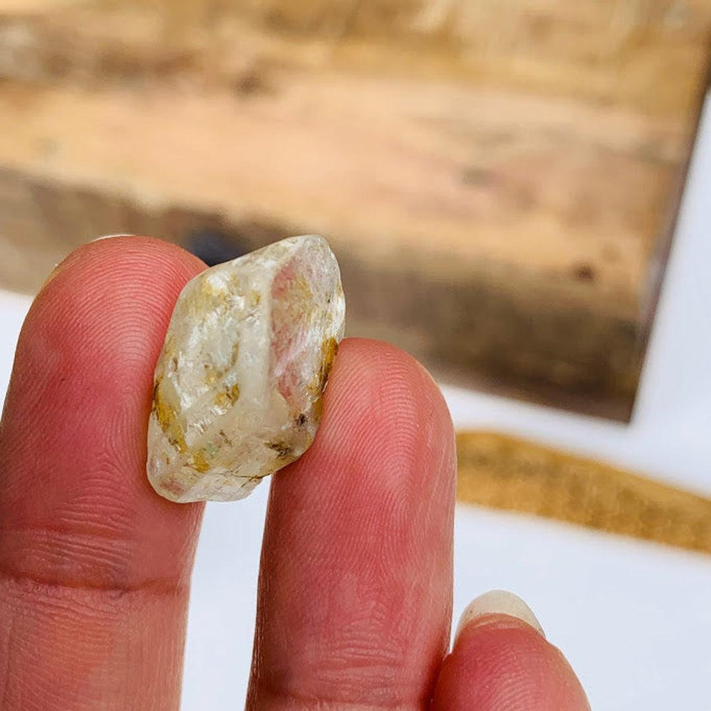 Raw Terminated White Topaz From Park, Colorado in Collectors Box - Earth Family Crystals