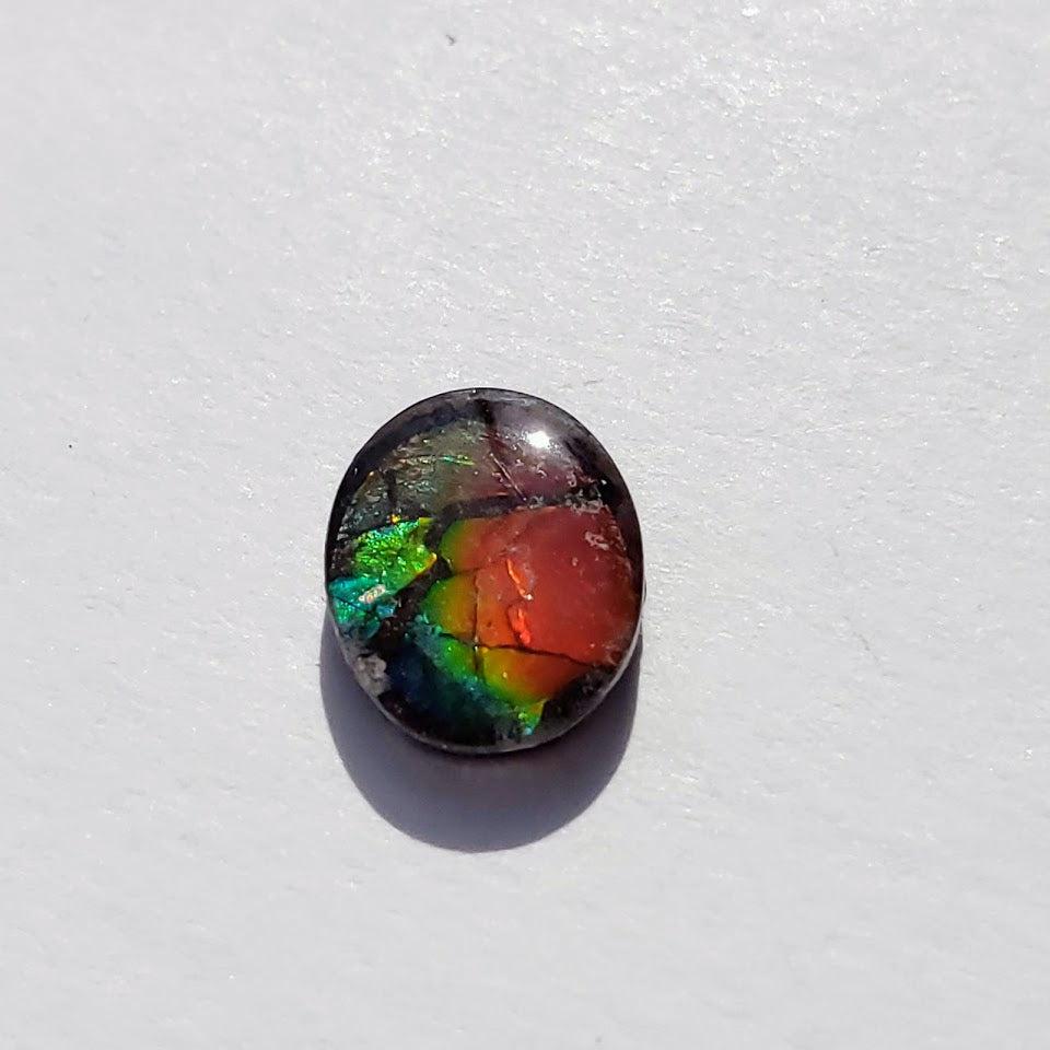 Quartz Capped Alberta Ammolite Small Cabochon in Collectors Box -Ideal for Crafting #2 - Earth Family Crystals
