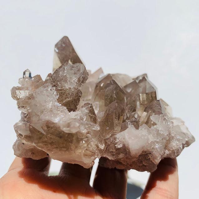 Incredible Rutilated Smoky Quartz Large Druzy Cluster From Brazil - Earth Family Crystals