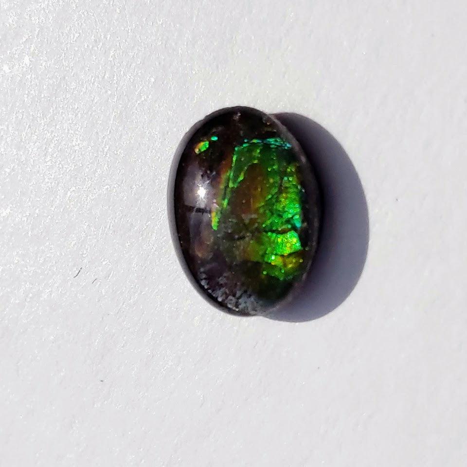 Quartz Capped Alberta Ammolite Small Cabochon in Collectors Box -Ideal for Crafting #1 - Earth Family Crystals
