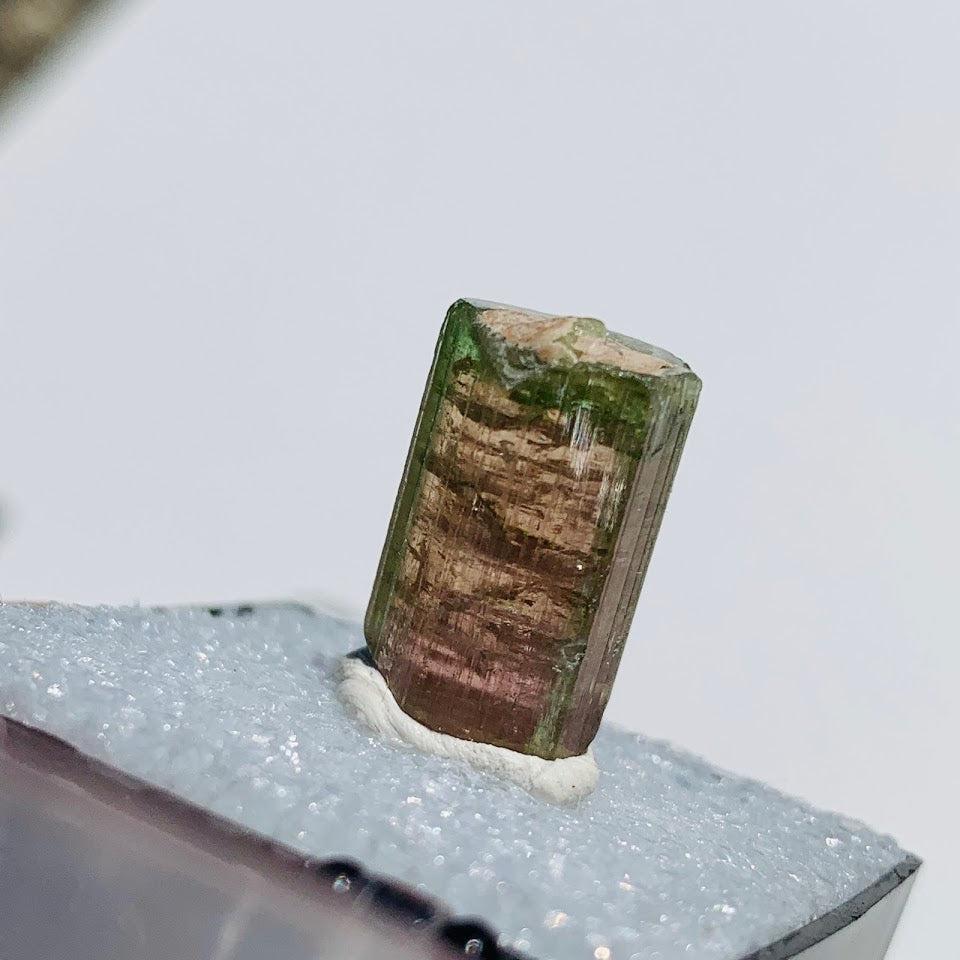 Rare Gemmy Watermelon Tourmaline Point From Brazil in Collectors Box #5 - Earth Family Crystals