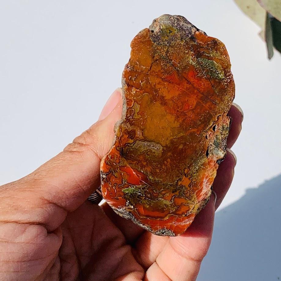 Australian Orange & Red Partially Polished Landscape Agate Specimen - Earth Family Crystals