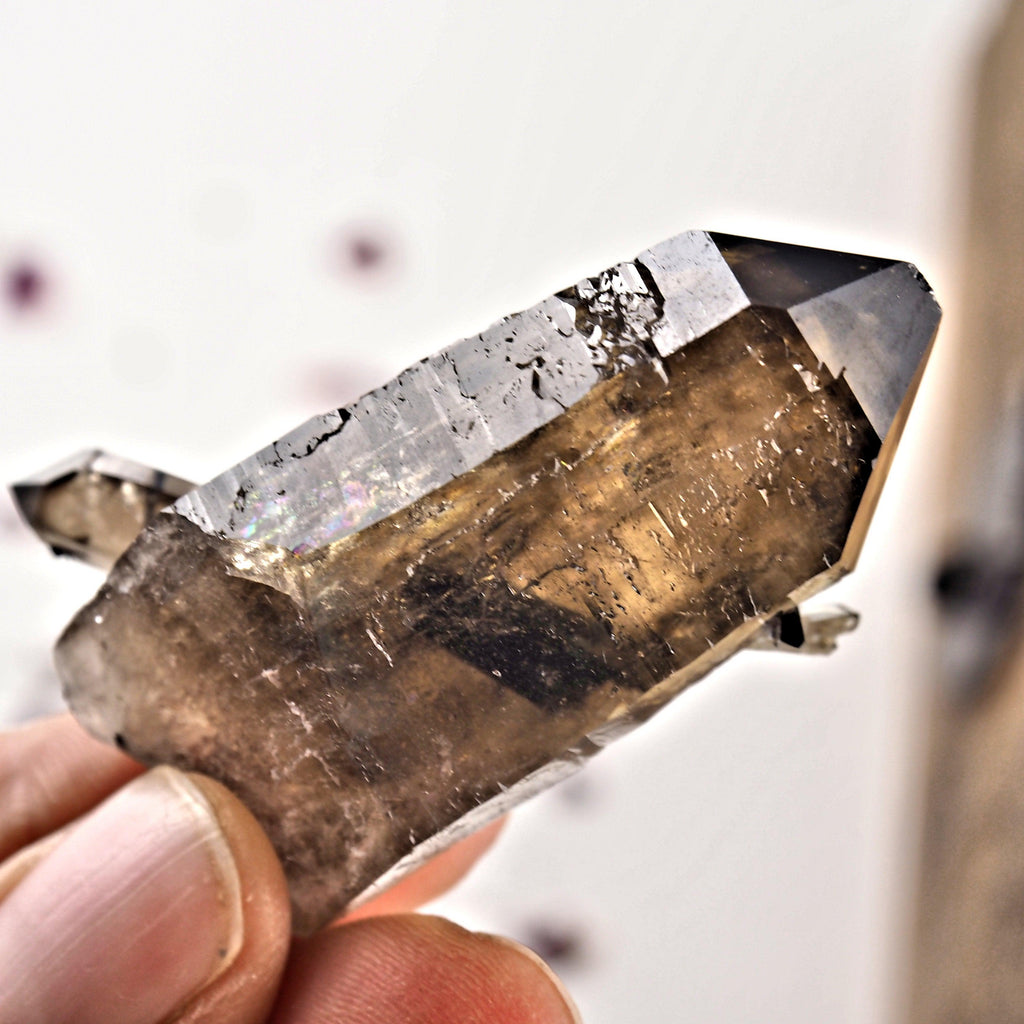 Incredibly Beautiful Natural Smoky Quartz & Aegirine Point From South Africa - Earth Family Crystals
