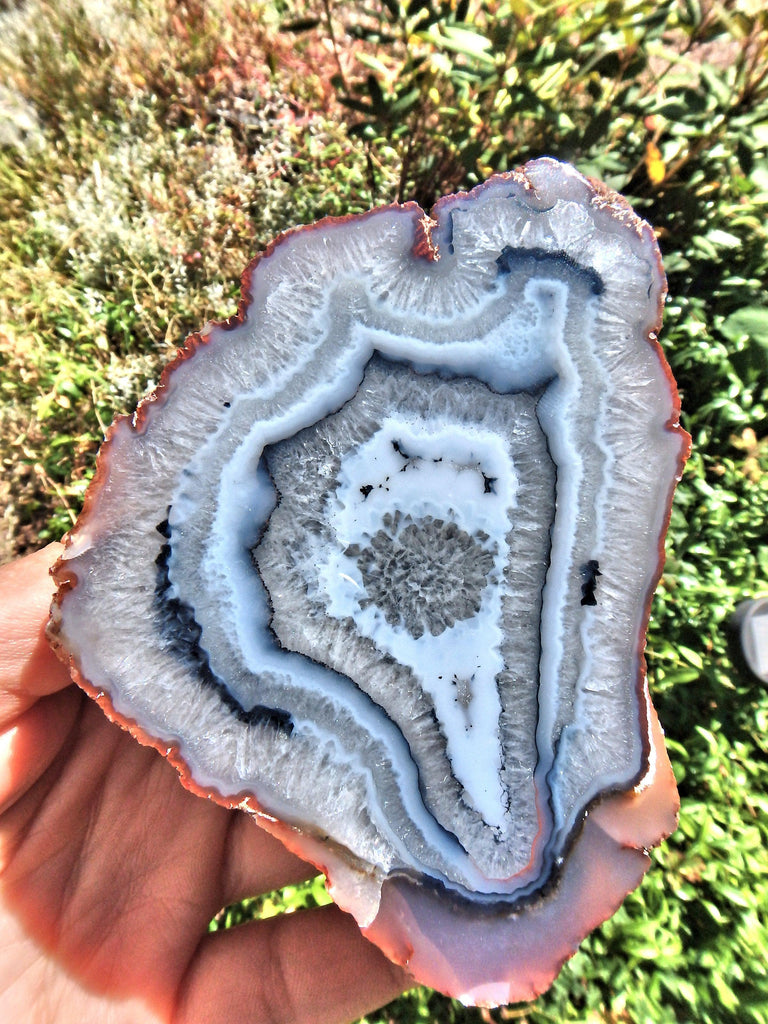 Great Depth Large Blue & White Swirling Flower Patterns Agate Partially Polished From Patagonia - Earth Family Crystals