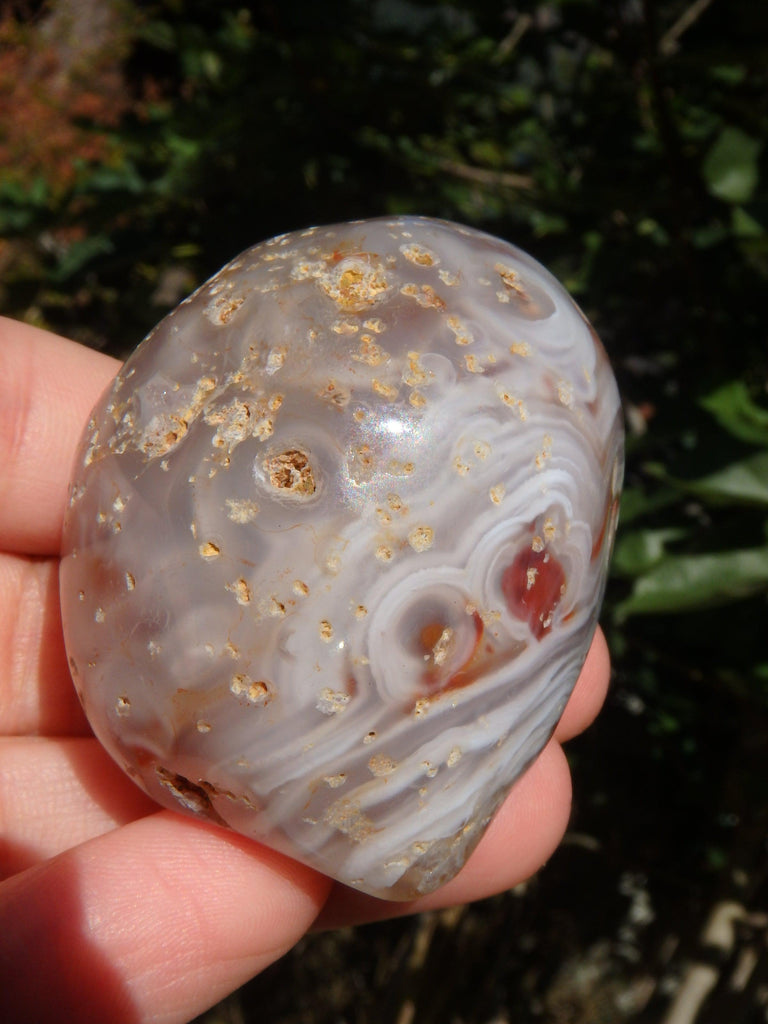 Fabulous Depth~Ancient Water Loaded Agate Nodule From Brazil1 - Earth Family Crystals