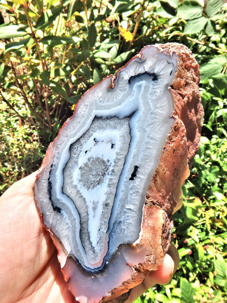 Great Depth Large Blue & White Swirling Flower Patterns Agate Partially Polished From Patagonia - Earth Family Crystals
