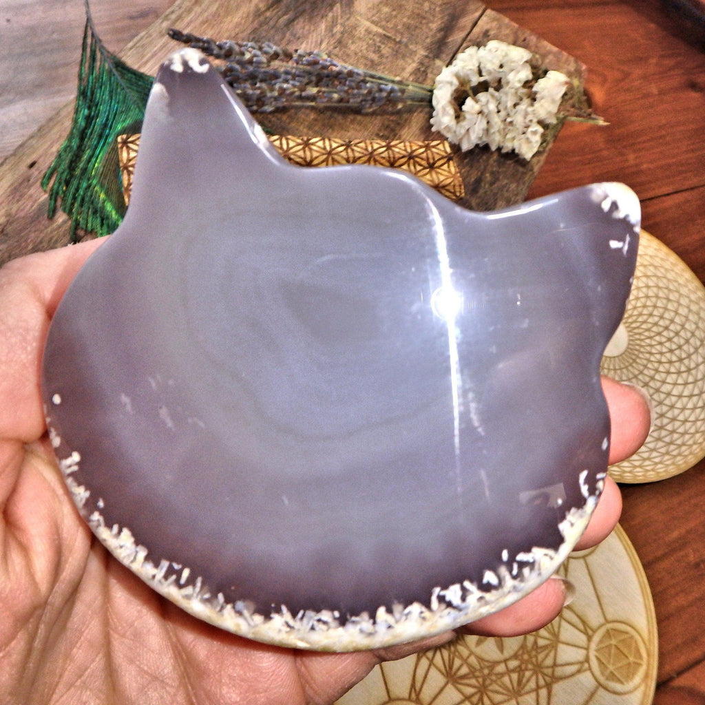 Cat Lover Druzy Geode Large Agate Carving 8 - Earth Family Crystals