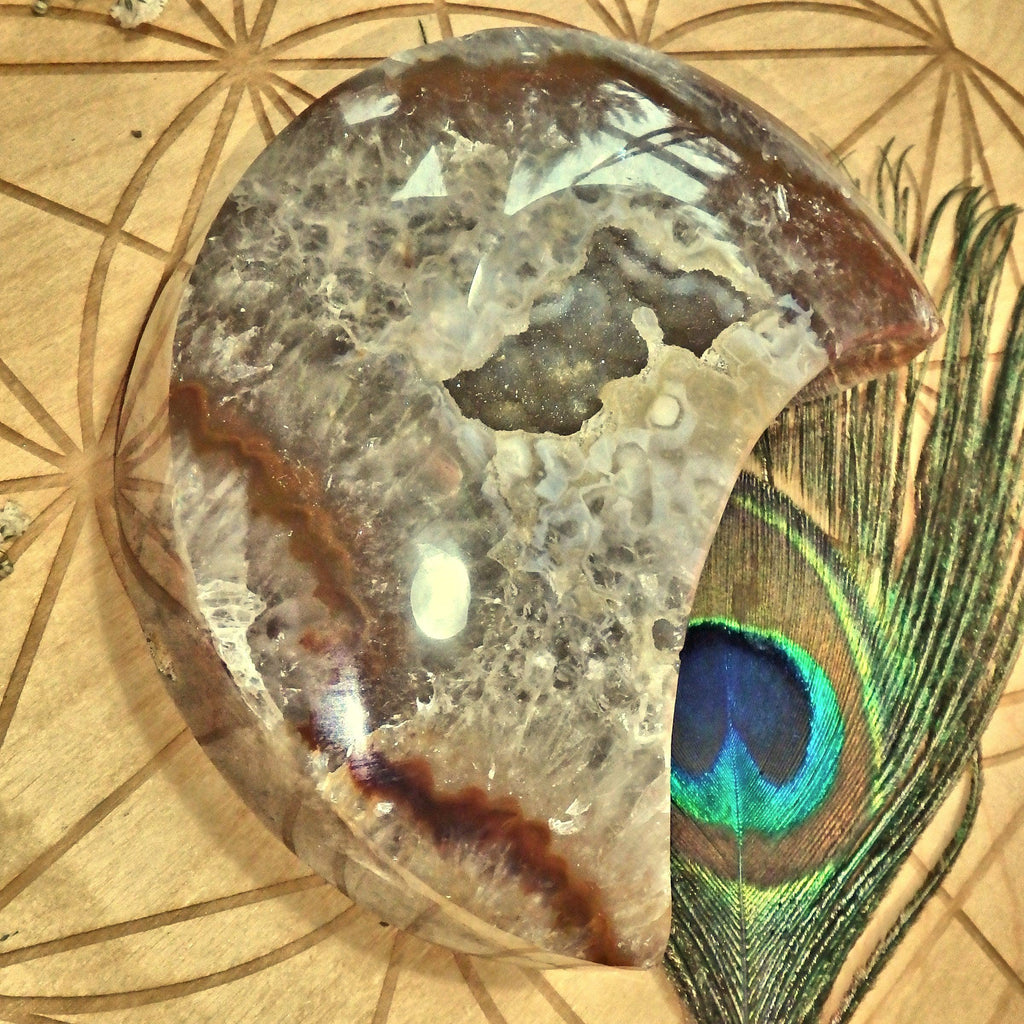 Exquisite XL Sparkling Galaxy Agate Geode Crescent Moon Display Carving - Earth Family Crystals