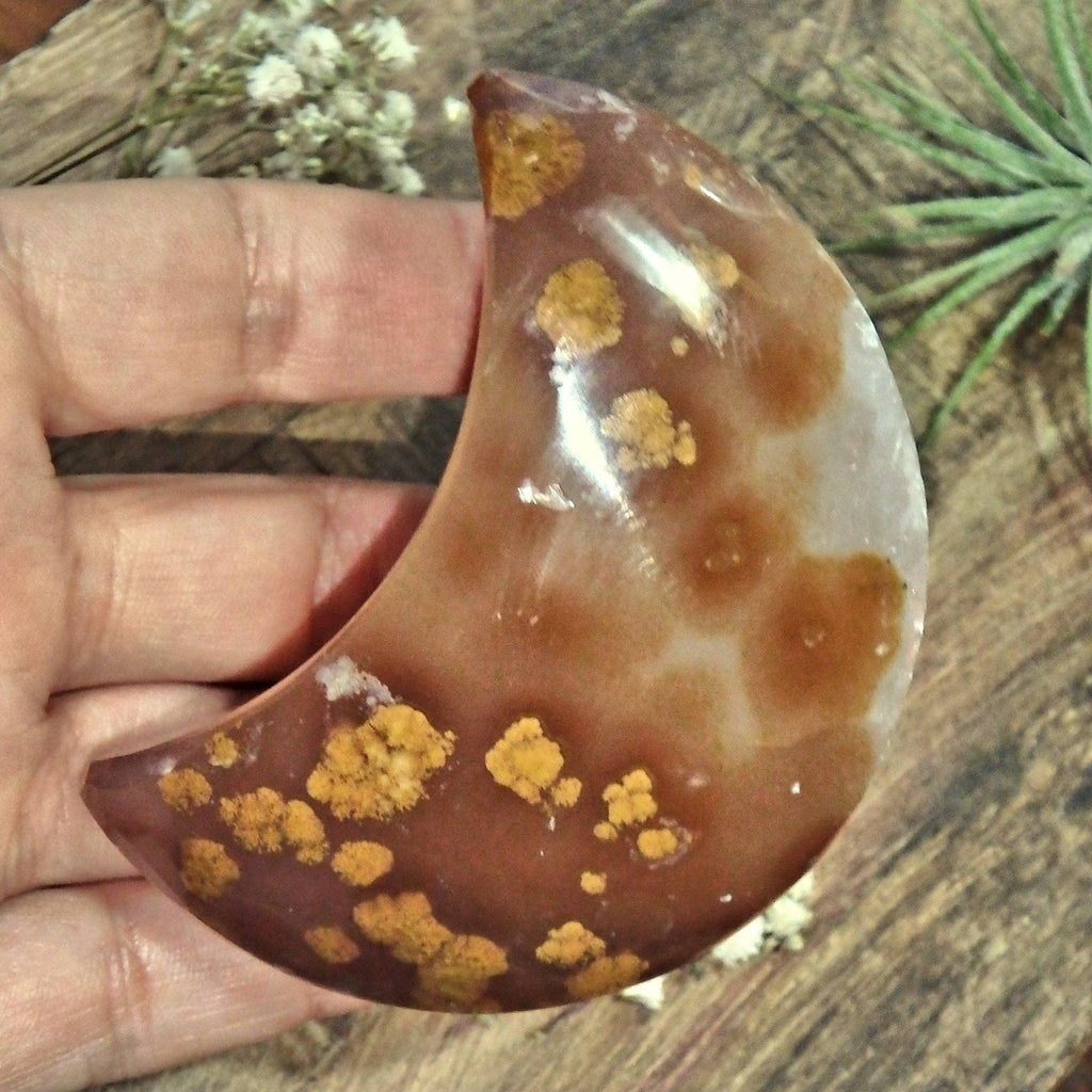 Unique Patterns Sparkling Galaxy Agate Geode Crescent Moon Display Carving - Earth Family Crystals