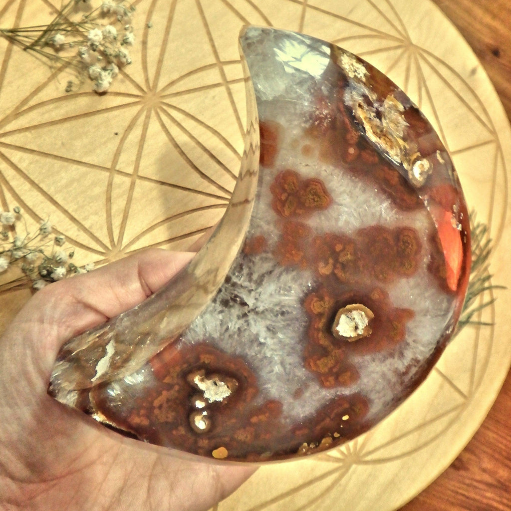 Exquisite XL Sparkling Galaxy Agate Geode Crescent Moon Display Carving - Earth Family Crystals