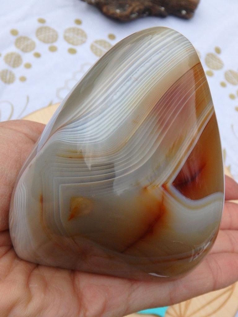 Golden Swirl Agate Polished Display Specimen - Earth Family Crystals