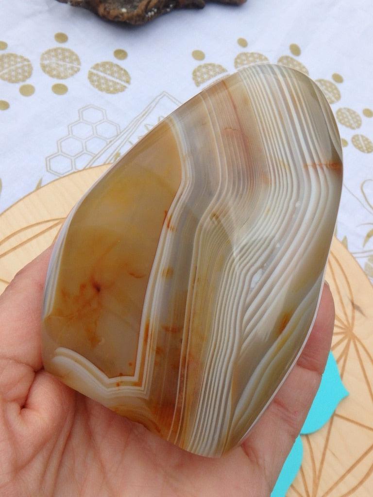 Golden Swirl Agate Polished Display Specimen - Earth Family Crystals