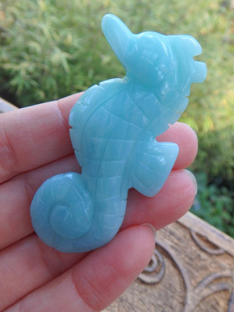 Gorgeous Blue Amazonite Seahorse Carving - Earth Family Crystals