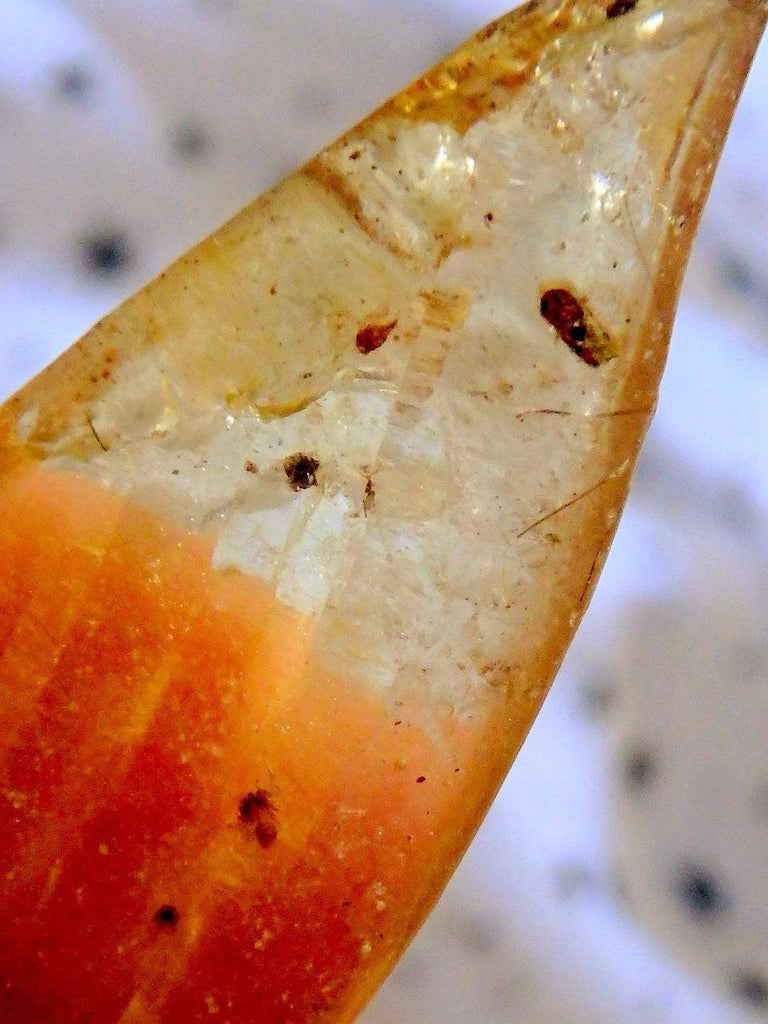 Colombian Amber Copal With Bugs Free Form 1 - Earth Family Crystals