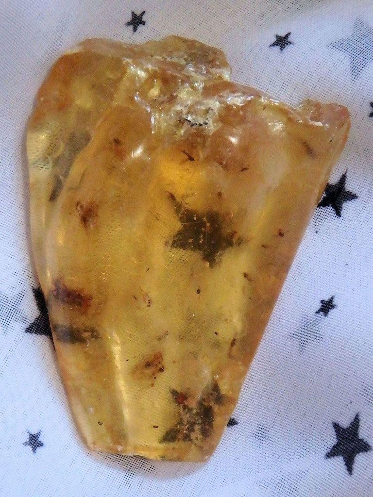 Colombian Amber Copal With Bugs Free Form 3 - Earth Family Crystals