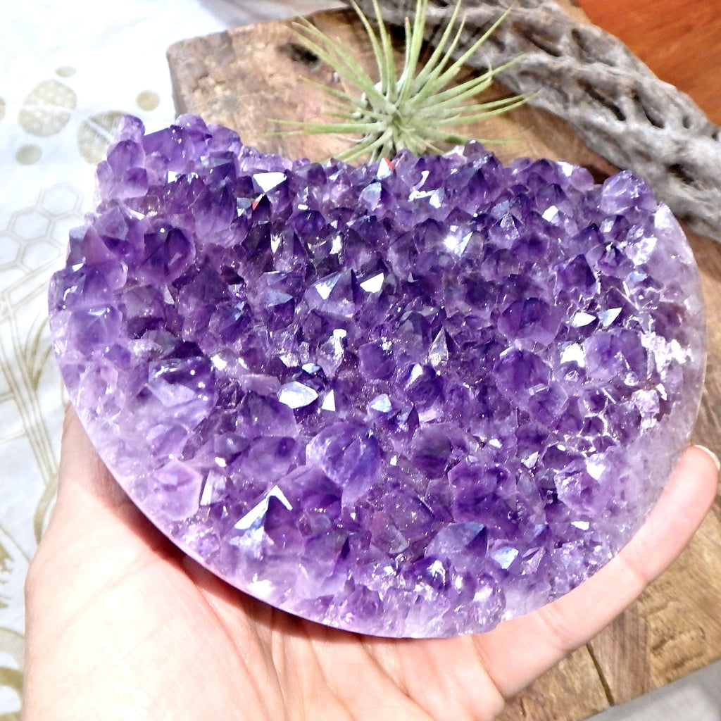 Amazing Large Amethyst Partial Sphere Carving With Fantastic Underside Natural Flower Pattern - Earth Family Crystals