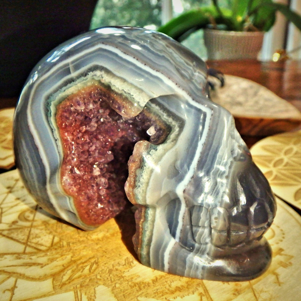 Mr Spunky ~Deep Amethyst Druzy Cave & Blue Agate Swirls Large Skull Carving From Brazil - Earth Family Crystals