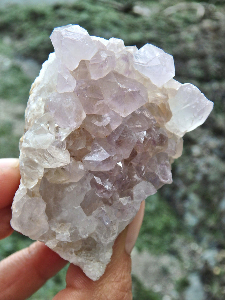 Lavender Ametrine Quartz Cluster Specimen 1 - Earth Family Crystals