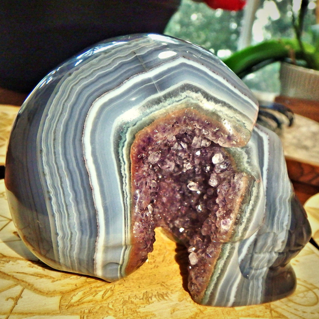 Mr Spunky ~Deep Amethyst Druzy Cave & Blue Agate Swirls Large Skull Carving From Brazil - Earth Family Crystals