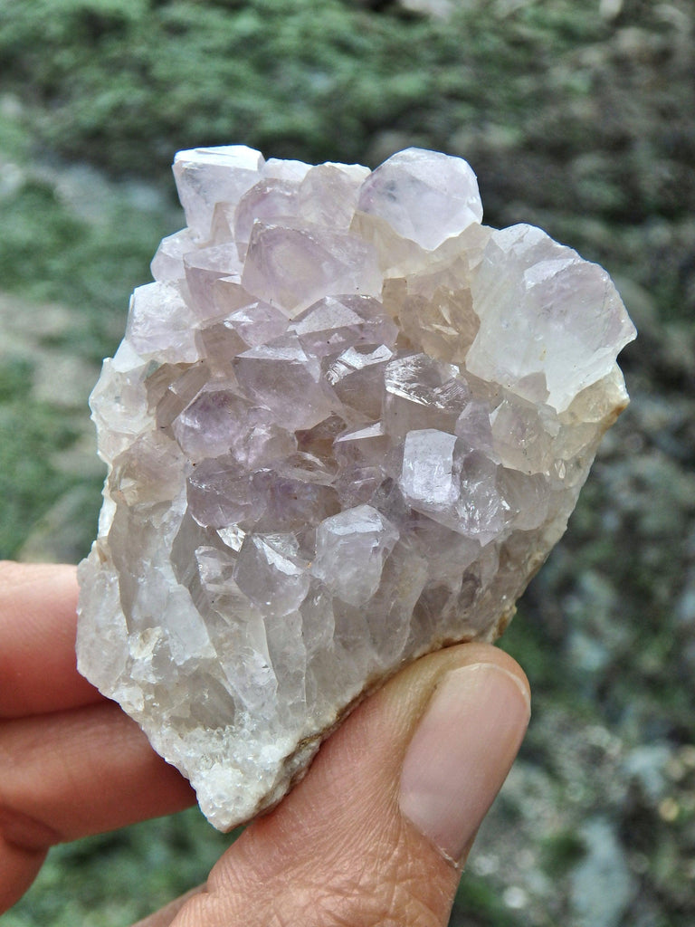 Lavender Ametrine Quartz Cluster Specimen 1 - Earth Family Crystals