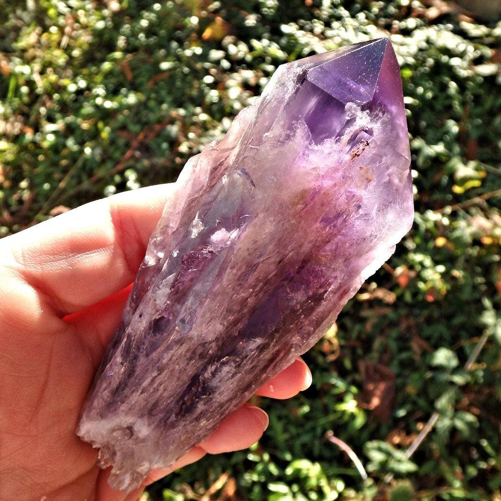 New Find~Long & Exquisite Large Amethyst Elestial Phantom Quartz Point From Bahia, Brazil 2 - Earth Family Crystals