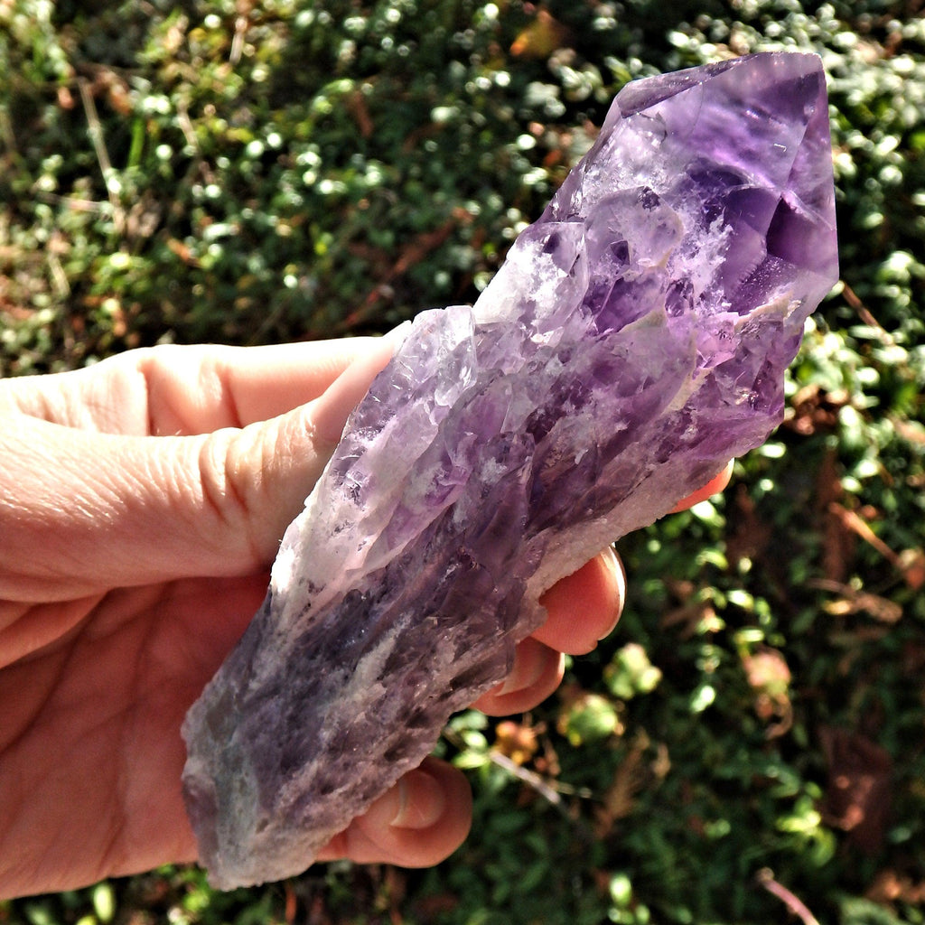 New Find~Long & Exquisite Large Amethyst Elestial Phantom Quartz Point From Bahia, Brazil 3 - Earth Family Crystals