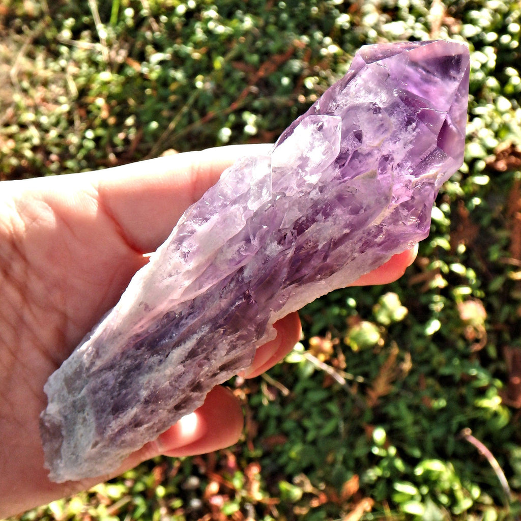 New Find~Long & Exquisite Large Amethyst Elestial Phantom Quartz Point From Bahia, Brazil 3 - Earth Family Crystals