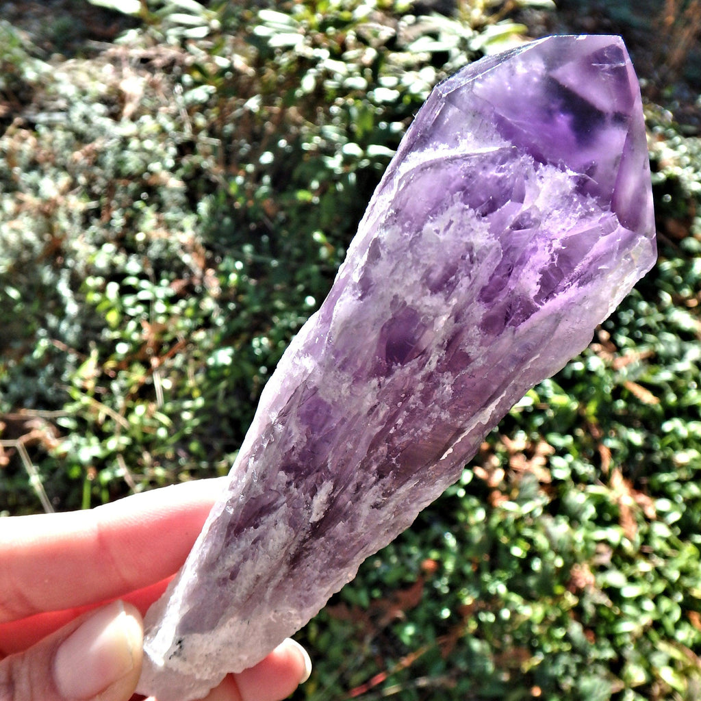 New Find~Long & Exquisite Large Amethyst Elestial Phantom Quartz Point From Bahia, Brazil 1 - Earth Family Crystals
