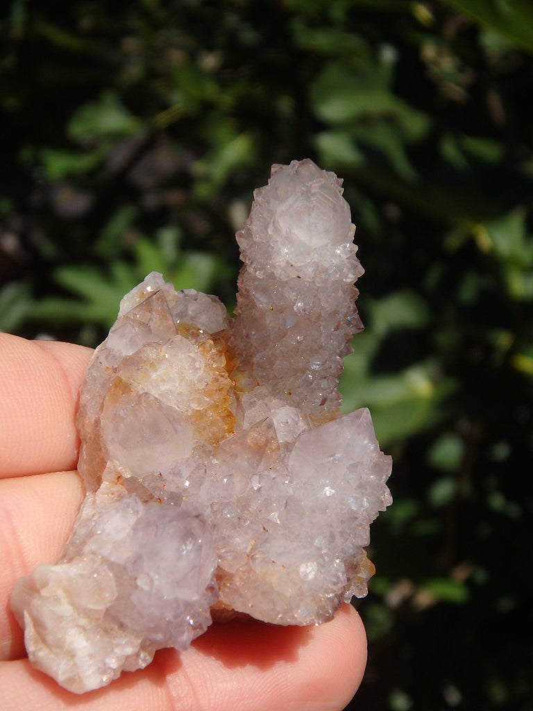 Ametrine Multi Points Spirit Quartz Cluster From South Africa - Earth Family Crystals