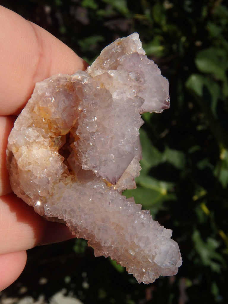 Ametrine Multi Points Spirit Quartz Cluster From South Africa - Earth Family Crystals