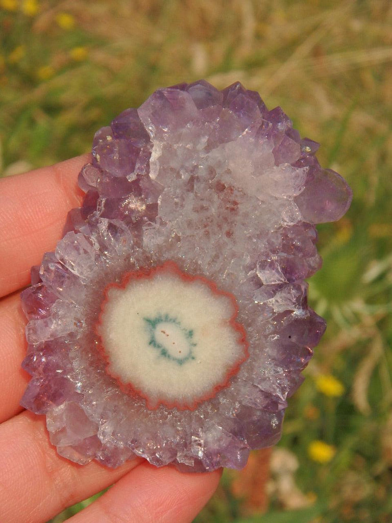 Fabulous Amethyst Stalactite Flower Partially Polished Specimen - Earth Family Crystals