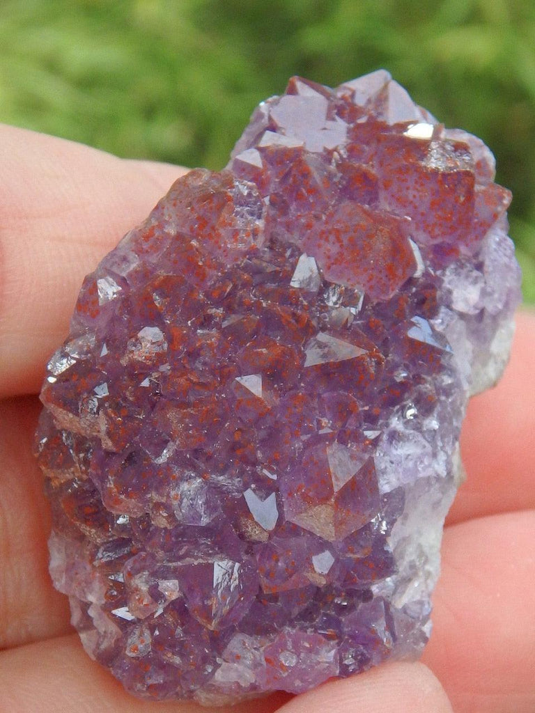 Red Hematite Included Amethyst Cluster From Ontario, Canada - Earth Family Crystals